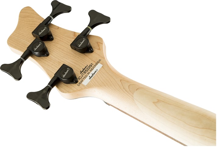Serie X Spectra Bass SBX V