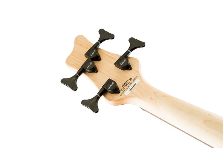 Serie X Spectra Bass SBX V