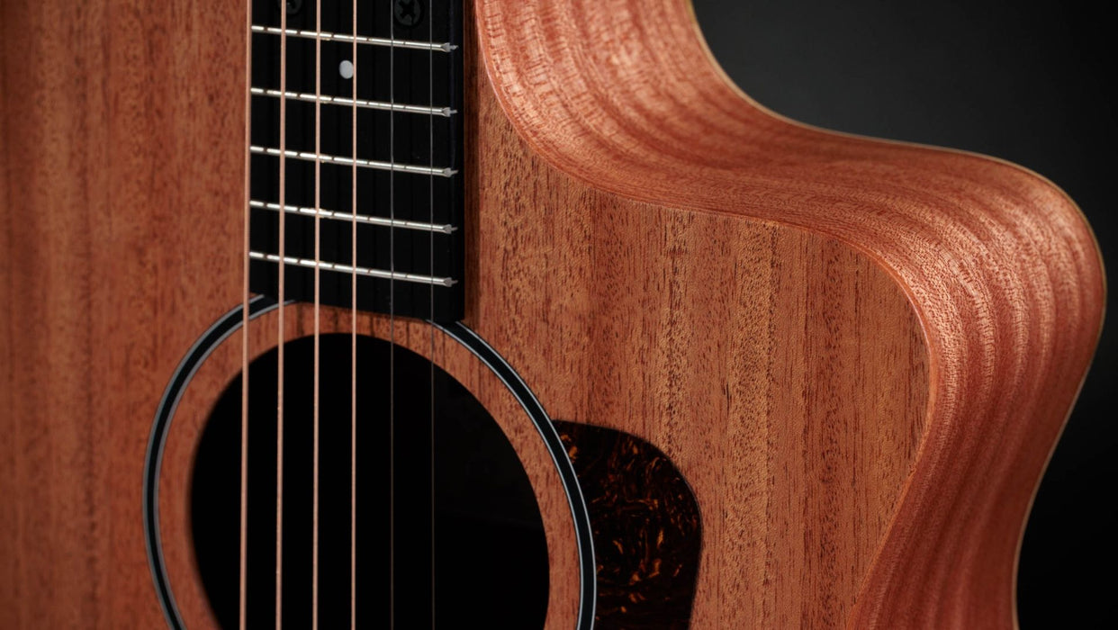 Taylor 24ce - Natural