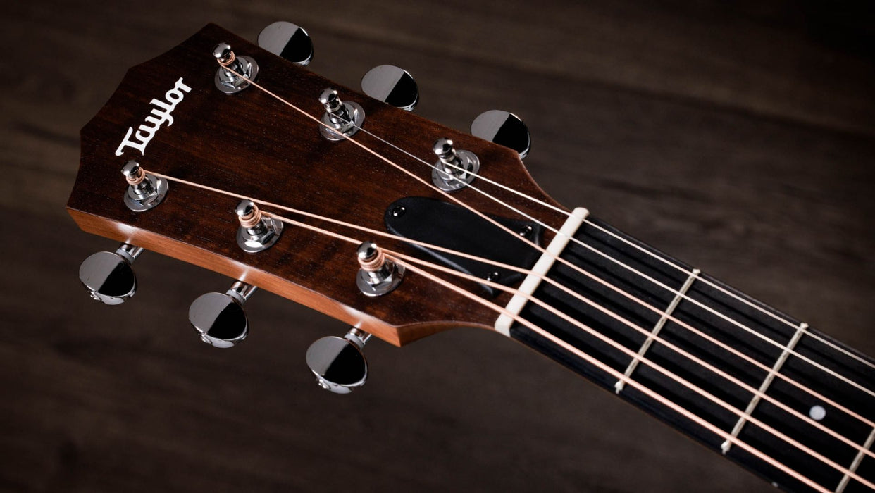 Taylor 24ce - Natural