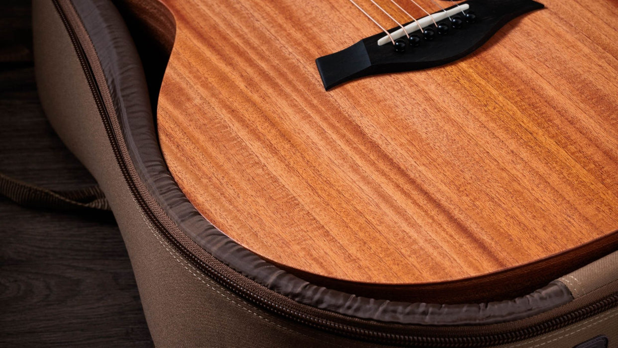 Taylor 24ce - Natural