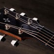 Guitarra acústica/eléctrica Taylor 414ce Special Edition - Shaded Edgeburst