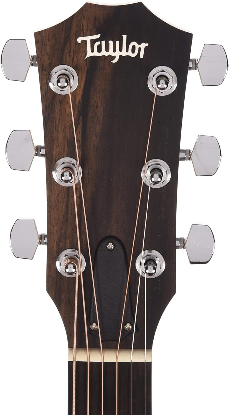 Taylor 114e - Natural