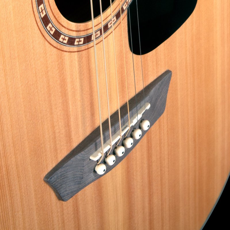 Washburn AD5CEPACK-A Apprentice Dreadnought Acoustic Electric Guitar Pack