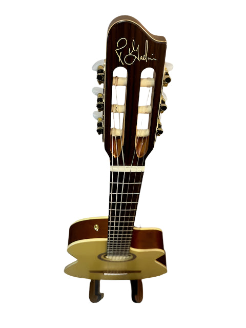 Godin Arena CW Clasica II Ltd AT