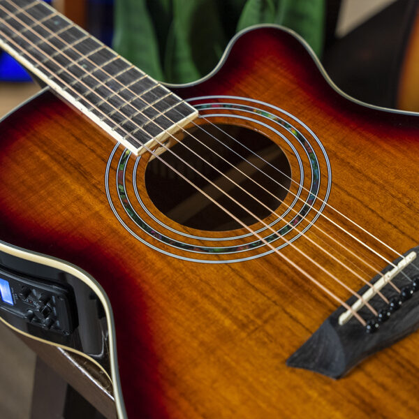 Washburn EA55G-A Cutaway Acoustic/Electric - Koa Burst