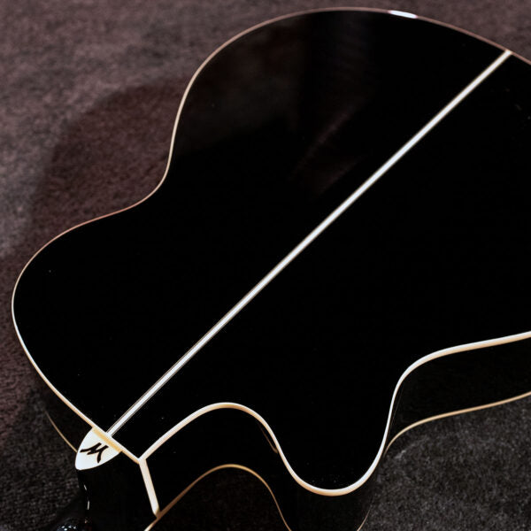 Washburn EA55G-A Cutaway Acoustic/Electric - Koa Burst