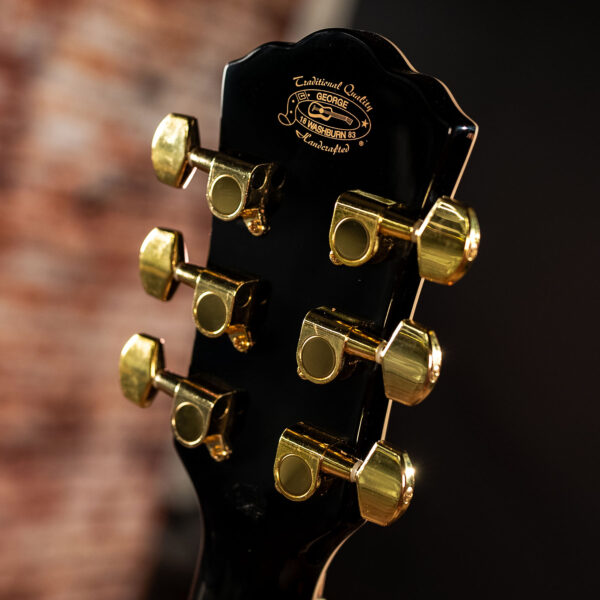 Washburn EA55G-A Cutaway Acoustic/Electric - Koa Burst