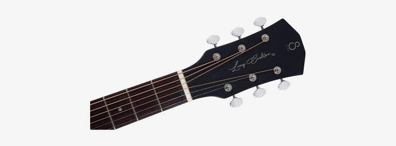 Sire Larry Carlton G5N - Natural