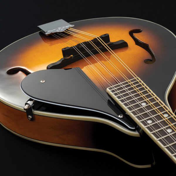 Washburn M1 Pack Americana Series A-Style Mandolin Pack - Sunburst