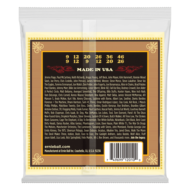 Ernie Ball Strings Earthwood 12-String Light .009