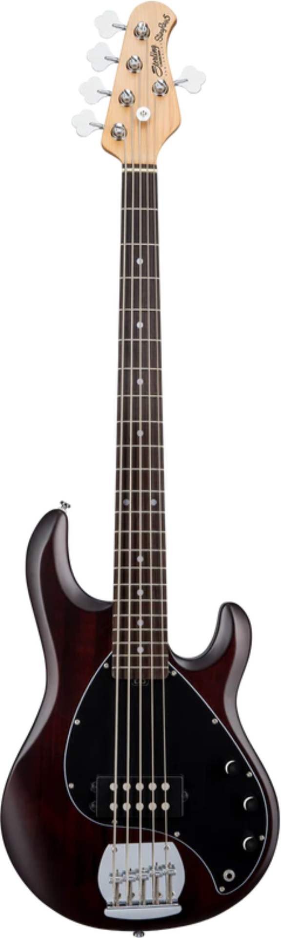 Sterling By Music Man StingRay RAY5 Bass - Walnut Satin