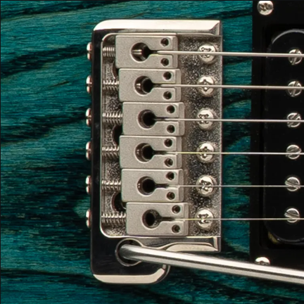 PRS SE Swamp Ash Special - Iris Blue