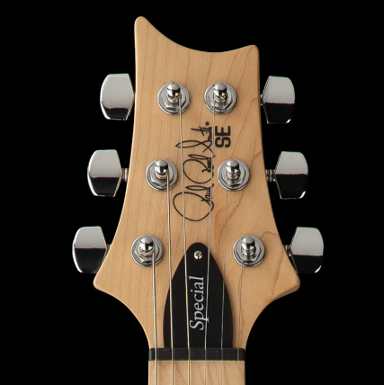 PRS SE Swamp Ash Special - Iris Blue