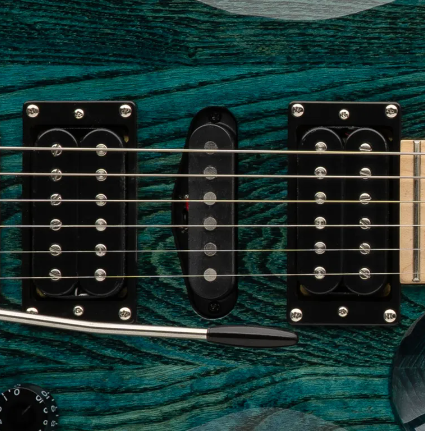PRS SE Swamp Ash Special - Iris Blue