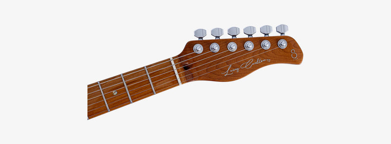 Sire Larry Carlton T7 New Gen - Dark Forest