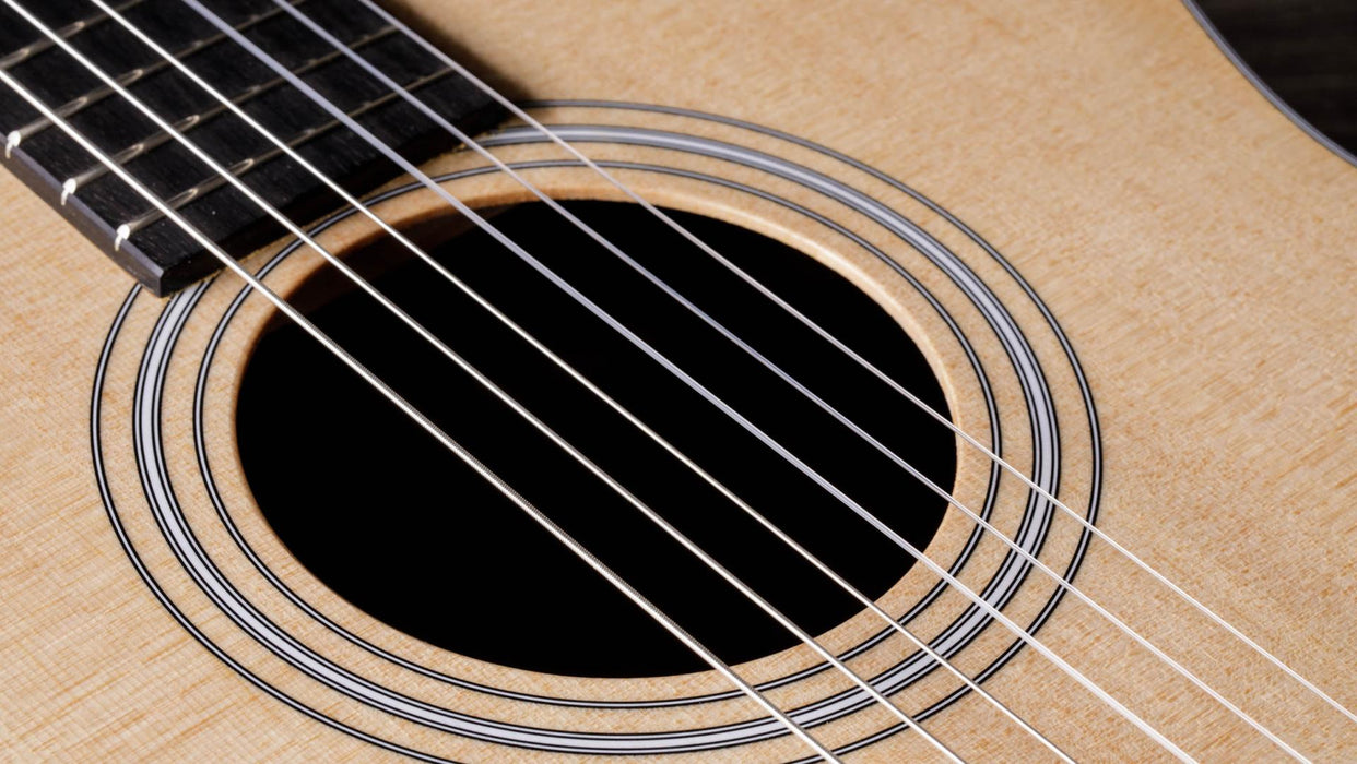 214ce-N - Taylor 214ce-N Acoustic-electric Guitar