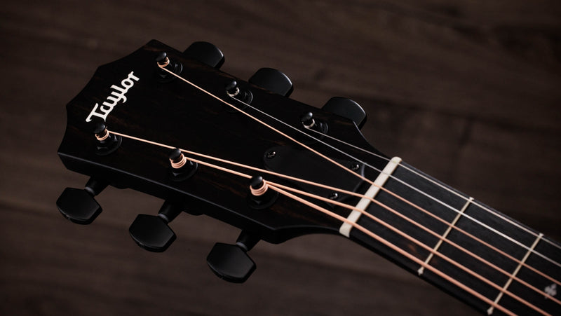 Taylor 224ce Plus Special Edition - Transparent Red