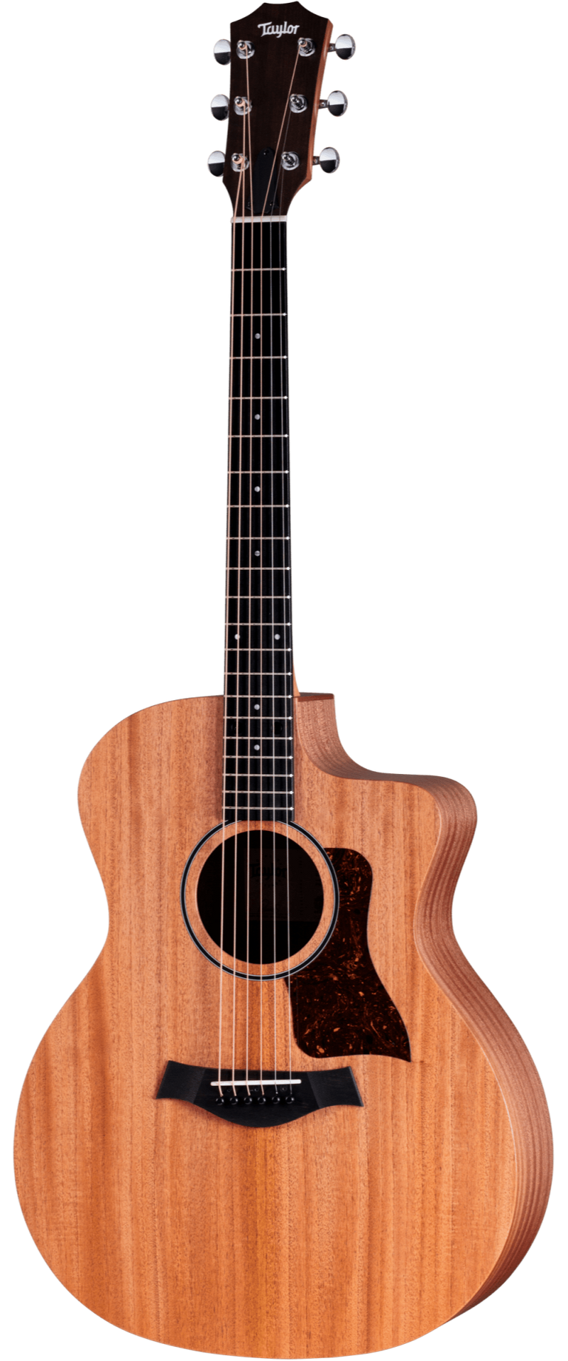 Taylor 24ce - Natural