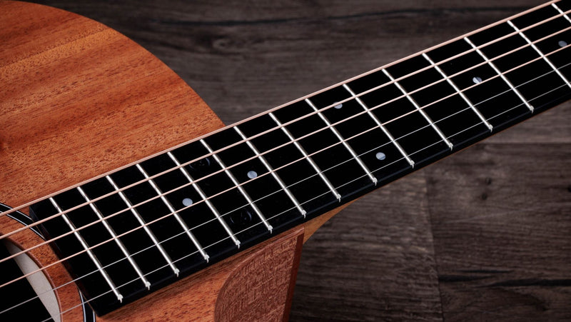 Taylor 24ce - Natural