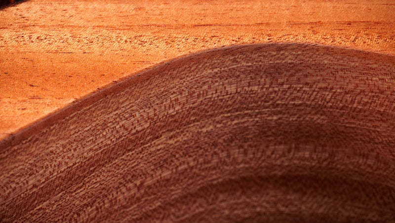 Taylor 24ce - Natural