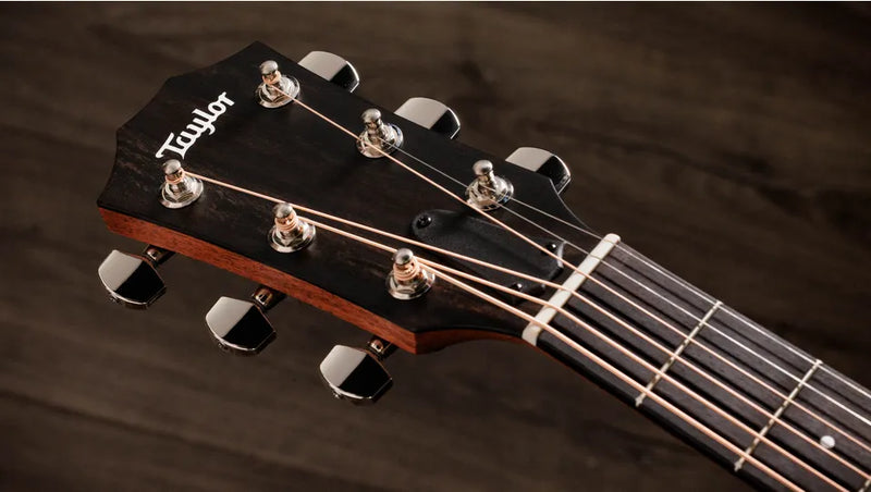 Taylor 324ce Studio Special Edition - Shaded Edgeburst