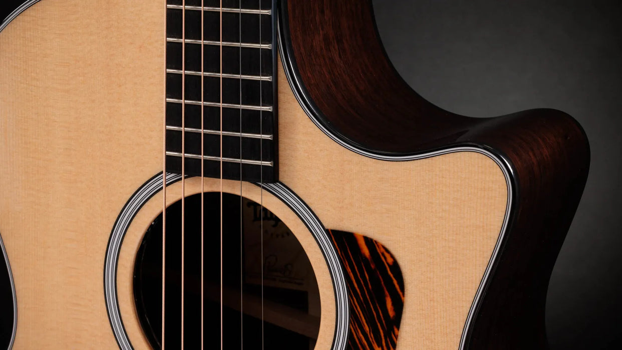 Taylor Next Generation 414CE
