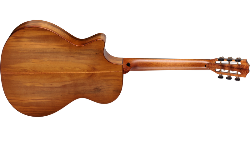 Taylor Custom Catch #26 C12ce B6026