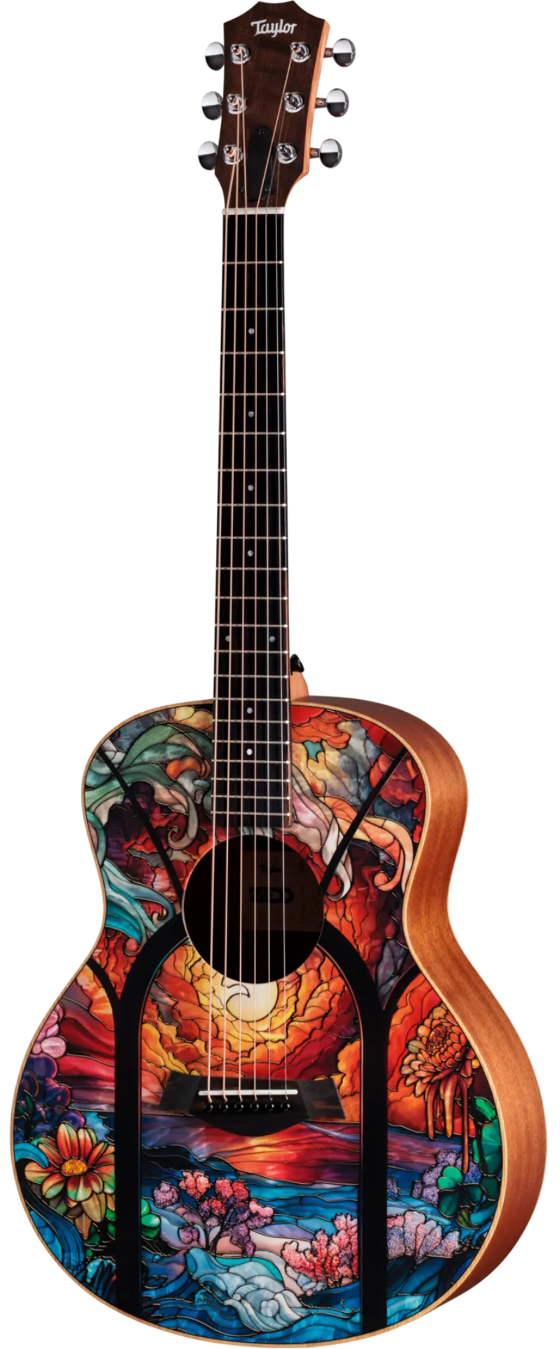 Taylor Zedd GS Mini Telos Special Edition Acoustic - Custom Artwork