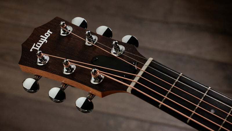 Taylor Zedd GS Mini Telos Special Edition Acoustic - Custom Artwork