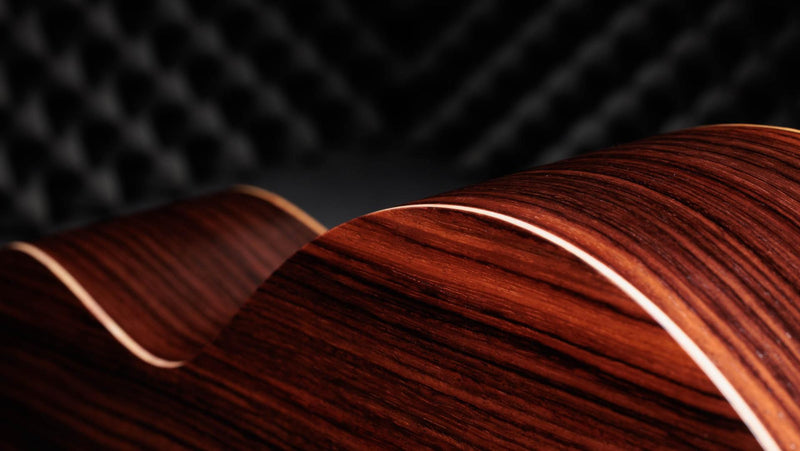 Taylor 50th Anniversary GS Mini-e Rosewood SB LTD