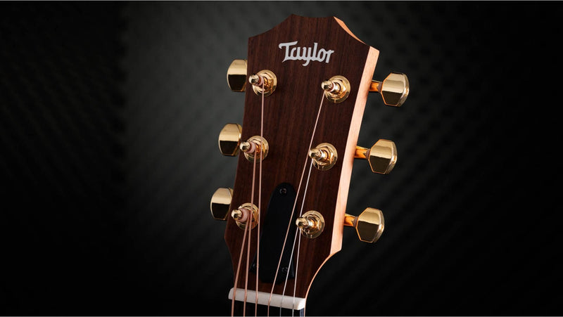 Taylor 50th Anniversary GS Mini-e Rosewood SB LTD