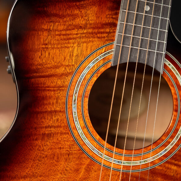 Washburn WCG12FCE Auditorium Acoustic Electric