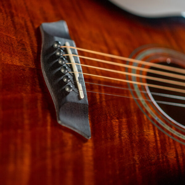 Washburn WCG12FCE Auditorium Acoustic Electric