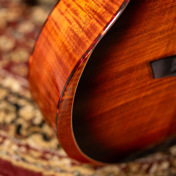 Washburn WCG12FCE Auditorium Acoustic Electric