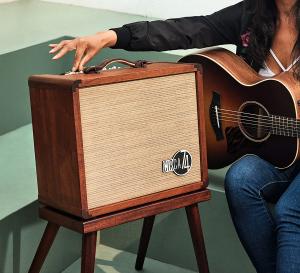 Taylor Circa 74 150-watt Acoustic Guitar and Vocal Amplifier