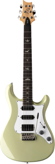 PRS SE Studio Standard Rosewood - Sage Green