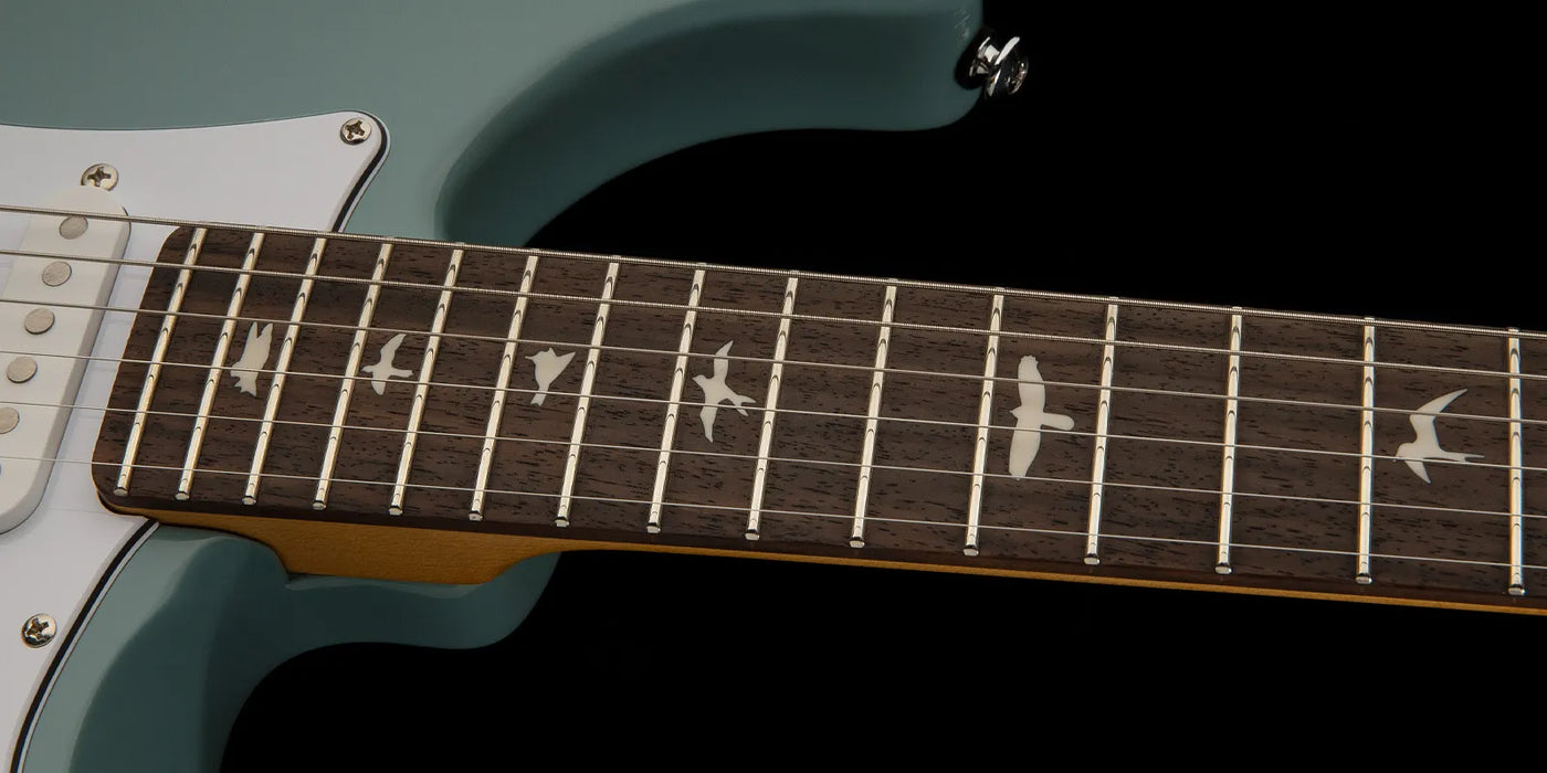 PRS SE Silver Sky - Stone Blue