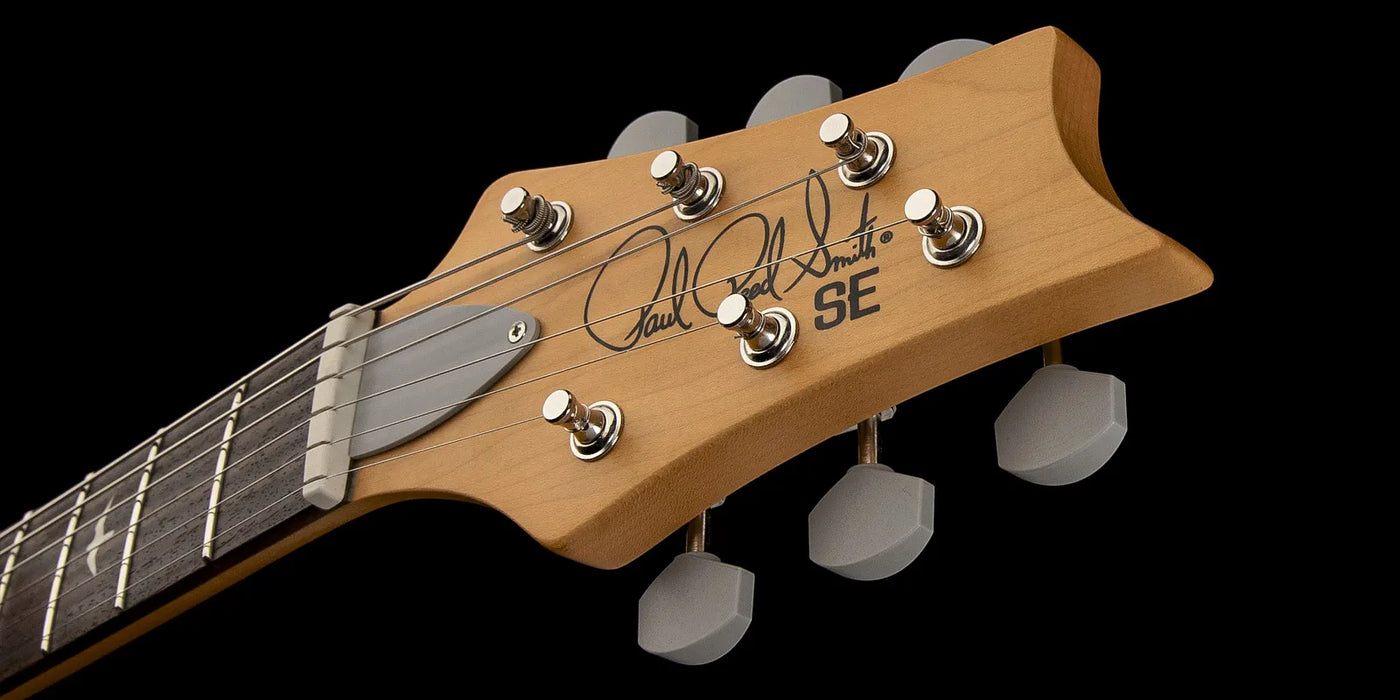 PRS SE Silver Sky - Stone Blue