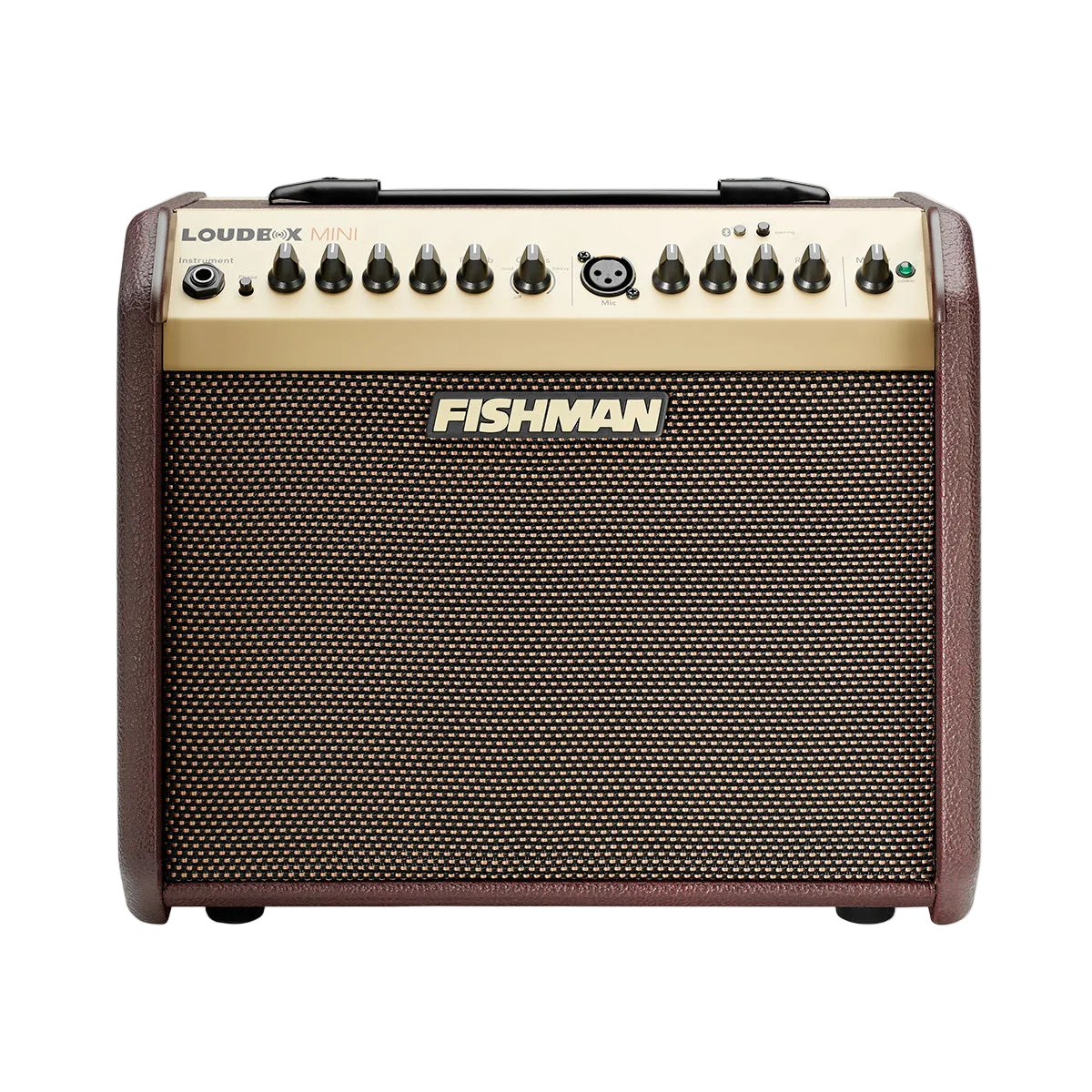 Fishman LoudBox Mini + BT — Guitars Boutique