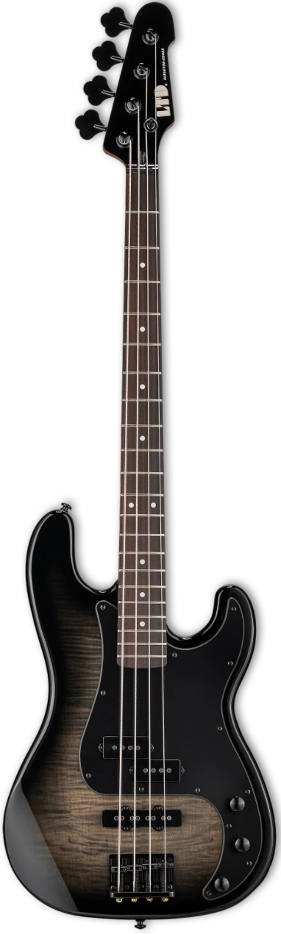 ESP LTD Surveyor-204DX Bass - Black Burst