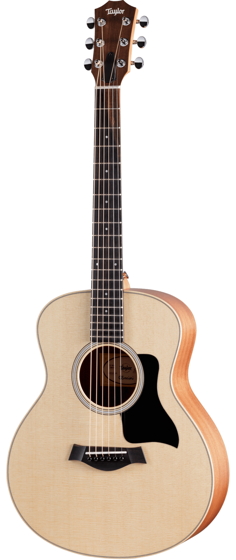 Taylor GS Mini Sapele